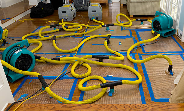 Professional Structural Drying And Dehumidification technician working in Fairfield, NC